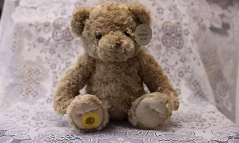 The memory teddy bear / Y tedi cof.